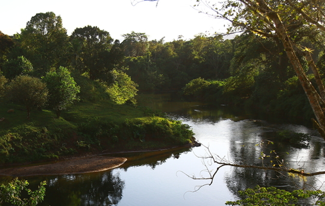 RED MUNDIAL DE RESERVAS DE LA BIÓSFERA (Bosawas